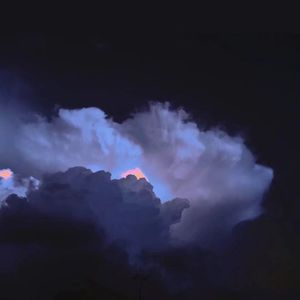 当妈妈的乖小狗
