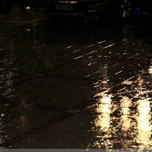 当妈妈的乖小狗
